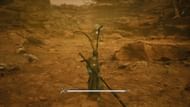 Where to find the Black Loong (Image via GameScience)